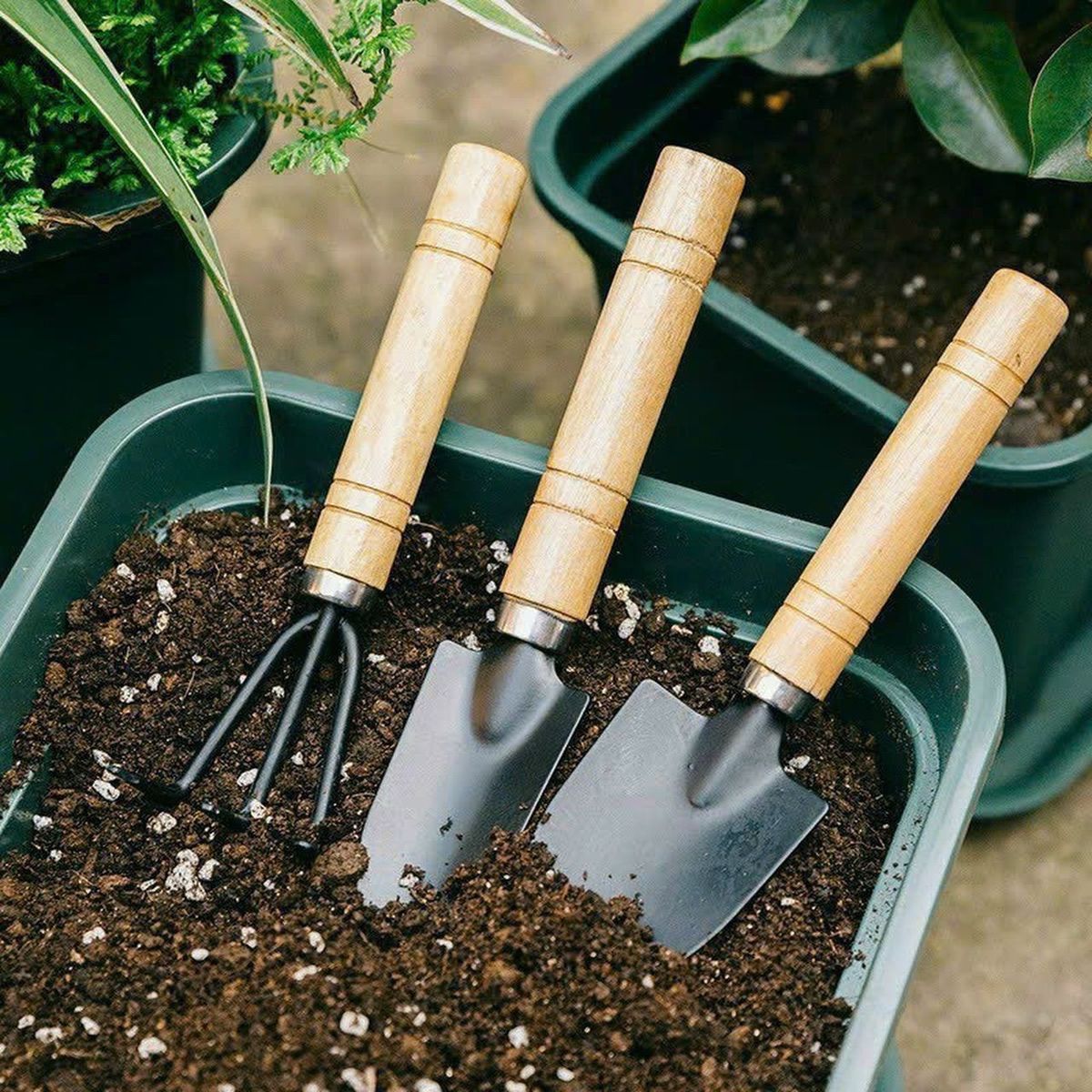 Bộ 3 Món Dụng Cụ Làm Vườn To