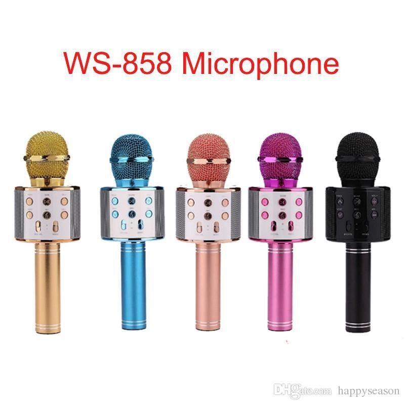 Mic Karaoke 858