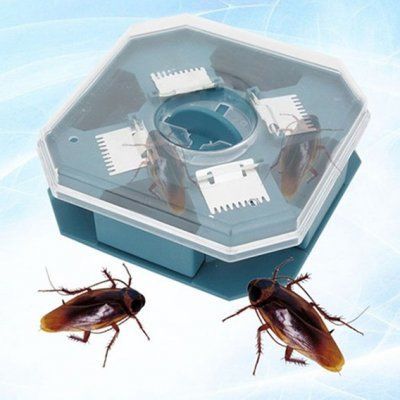 Dụng cụ bắt gián